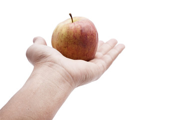 hand holding apple