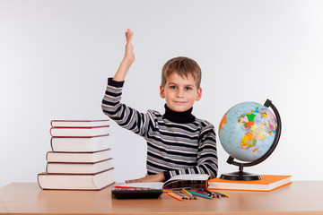 Cheerful Schoolboy ready to answer question