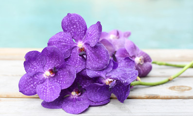 Purple orchid on wood background