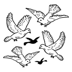 White Wedding Vector Peace Doves Flying