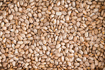 Healthy Brown Pinto Beans for Wallpaper Background