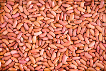 Plenty of Light Red Kidney Beans for Backgrounds