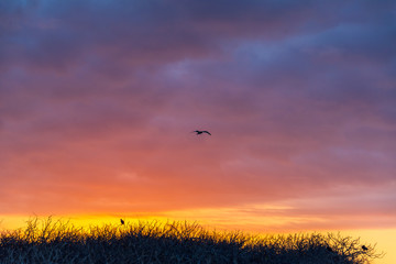 Colorful Galapagos Sunset
