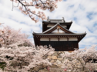 春の郡山城