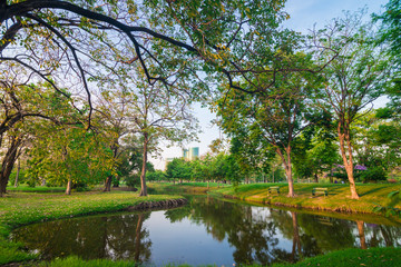 Fototapeta na wymiar Green lawn in city park with swamp