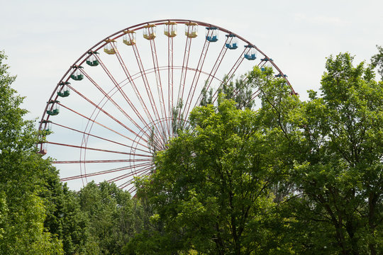 Riesenrad im Plenterwald