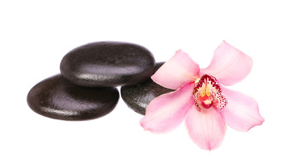 massage basalt stones and orchid flower isolated on white backgr