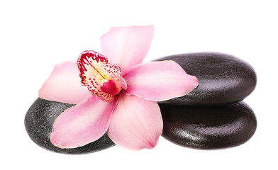 Fototapeta na wymiar massage basalt stones and orchid flower isolated on white backgr