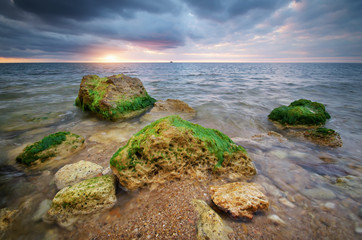 Fototapeta na wymiar Seaweed on the sea