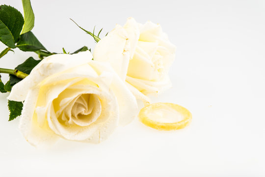 white Rose with condom isolated on white background