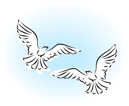 Sketch of two flying dove