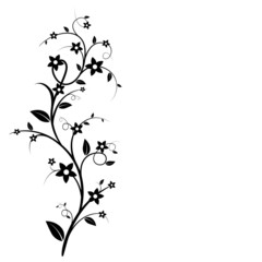 Fototapeta premium Stem with leaves and flowers.