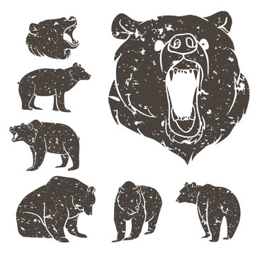Set of different bears 2