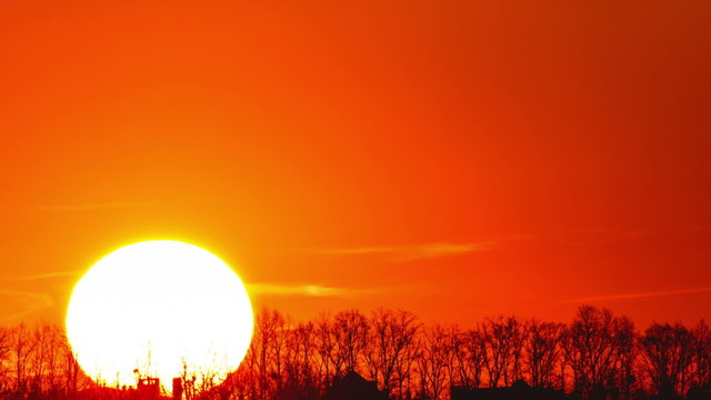 The picturesque sunrise (sunset) above forest, close up
