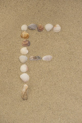 Buchstabe F aus Muscheln im Sand