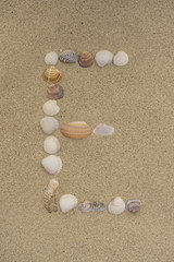 Fototapeta na wymiar Buchstabe E aus Muscheln im Sand