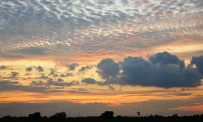 sunset in paddle field