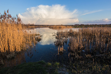 spring lake landscape