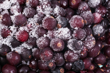 Macro view of frozen berries: blackcurrant, redcurrant