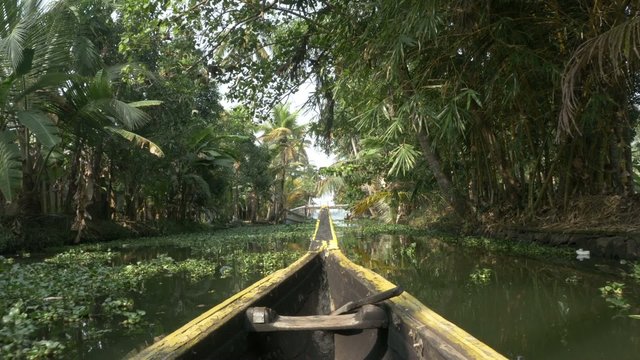 canoe boat on backwaters of Kerala State, South India