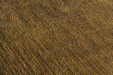 Beautiful morning. Fields from above