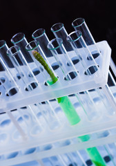 chemical glass tubes with reflection