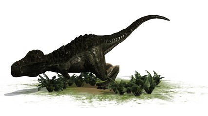 T-Rex Dinosaur - seperated on white background