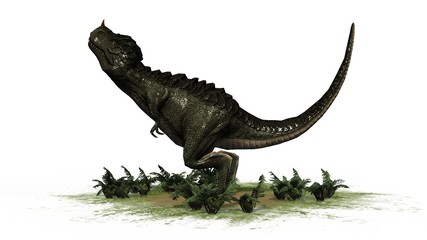 T-Rex Dinosaur - seperated on white background