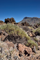 magma 