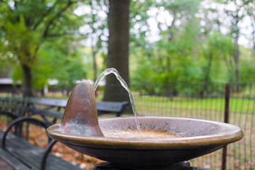 Drinking fountain of copper