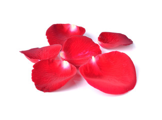 Red rose petals isolated on white