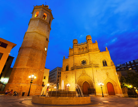  Fadri tower and Gothic Cathedral  in night
