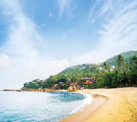 Tropical forest, sea coast and mountains © Acronym
