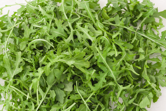 Fresh Arugula Leaves