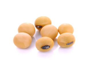 soy beans on white background.