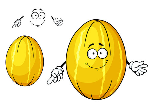 Cute Yellow Melon Fruit Cartoon Character