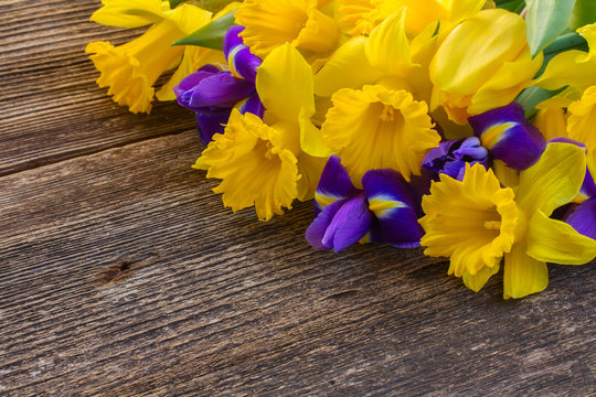 easter daffodils and irise