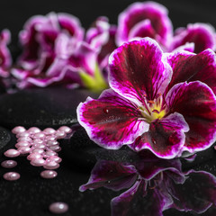 beautiful spa background of geranium flower, beads and black zen
