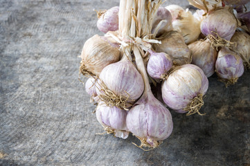 Close up of purple garlic.