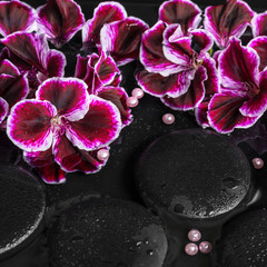 Obraz na płótnie Canvas beautiful spa still life of geranium flower, beads and black zen