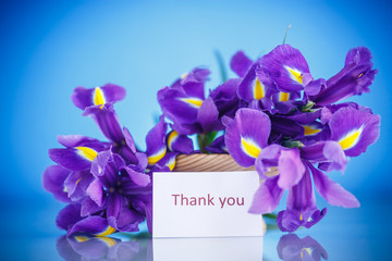 beautiful bouquet of flowers irises