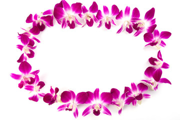 Obraz na płótnie Canvas Purple orchids on a white background