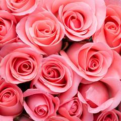 pink rose flower bouquet background