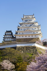 修理完成後の姫路城と桜