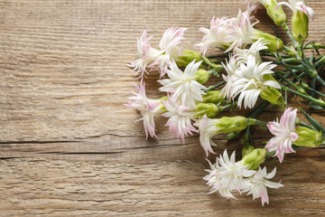 Fototapeta na wymiar White carnations on wooden background