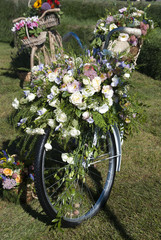 Fototapeta na wymiar велосипед с корзиной цветов
