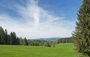 draussen im Schwarzwald