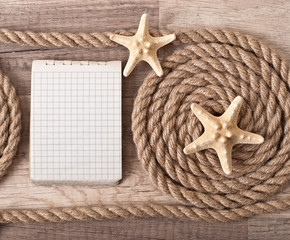 Fototapeta na wymiar starfish and ship rope on the background of an old tree
