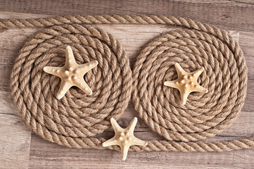 starfish and ship rope on the background of an old tree