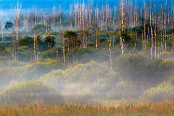 Polska Amazonia © Wojciech Lisiński
